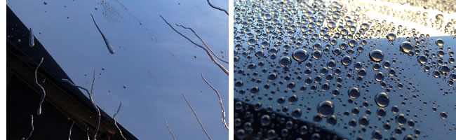 エクラハイブリッドコーティング　撥水タイプ　写真